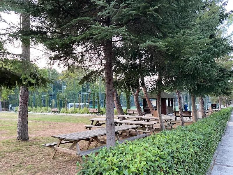 Koç Topluluğu Spor Kulübü görsel 2