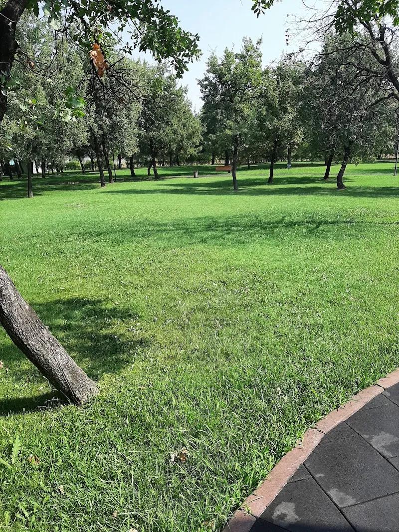 Meşelipark Tenis Kulübü görsel 3