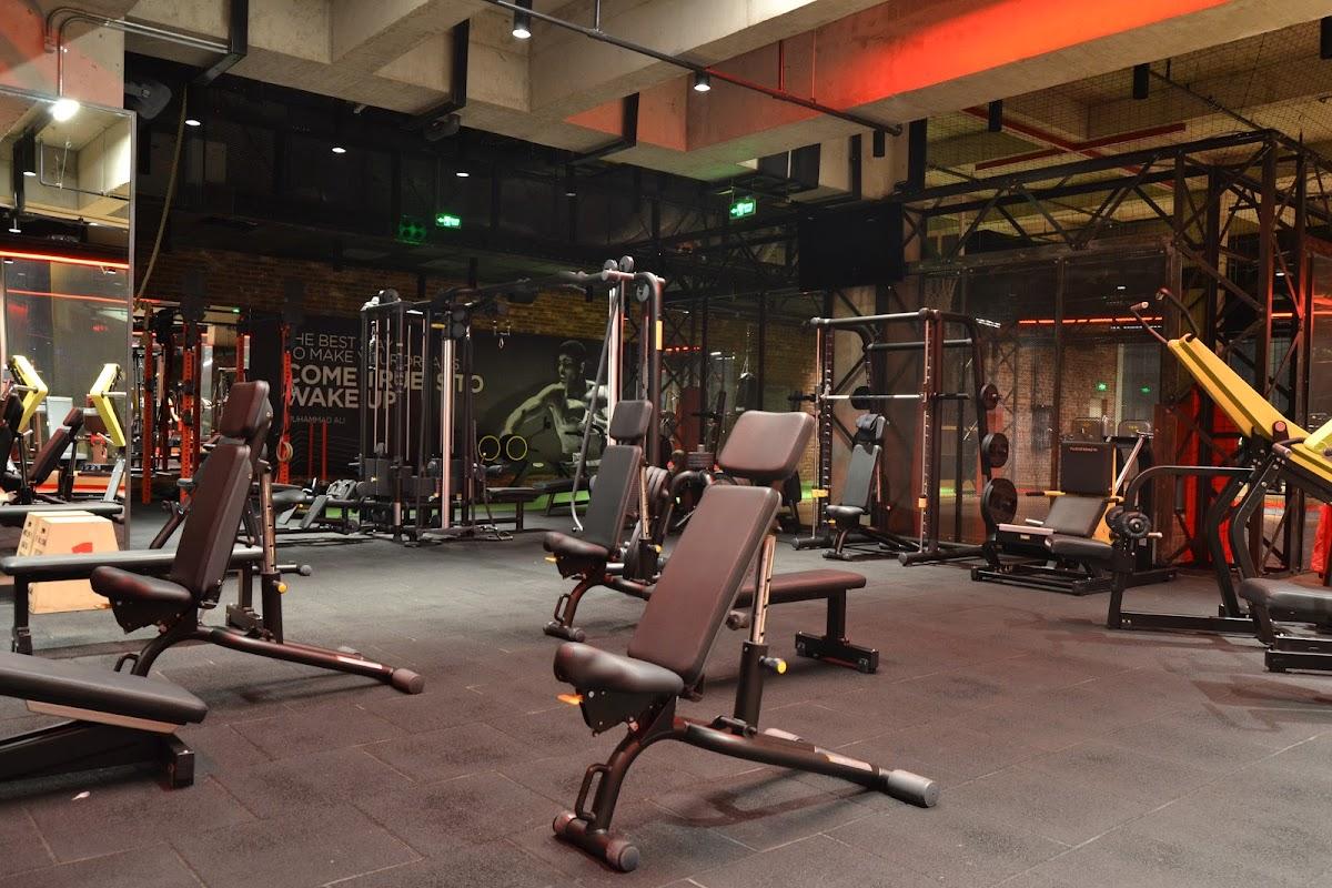 Mistral Carrera görsel 3